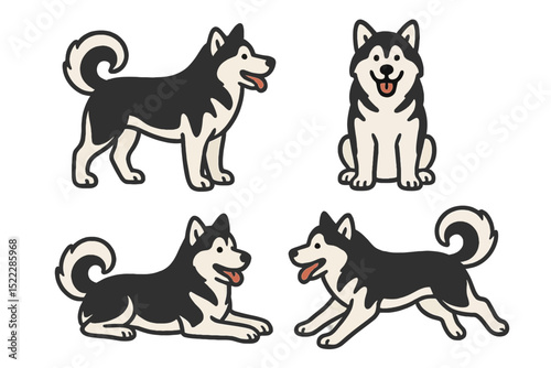 Four husky dog illustrations in different poses on a transparent background