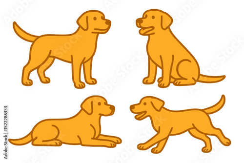 Four Labrador dogs in various poseson a transparent background 