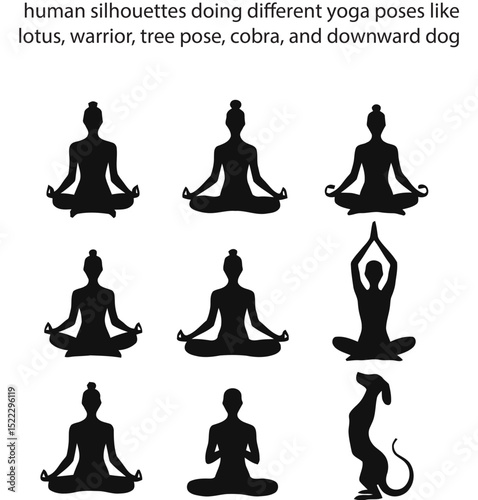 Yoga Pose Silhouettes – Vector Set of Women and Men in Yoga Positions on White Background
