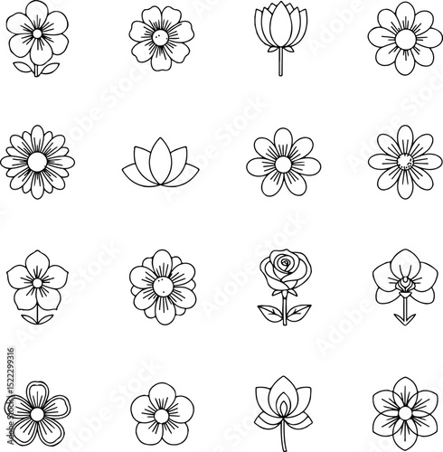 16 Floral and Botanical Line Icon Collection.