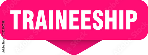traineeship sticker. traineeship sign on transparent background