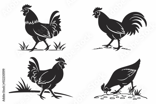 rooster and hen