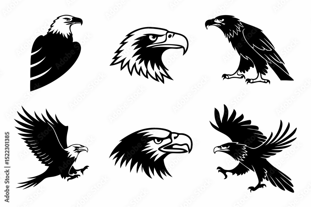 Obraz premium set of eagle