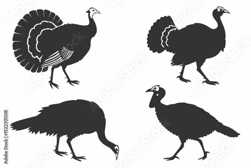 set of peacock