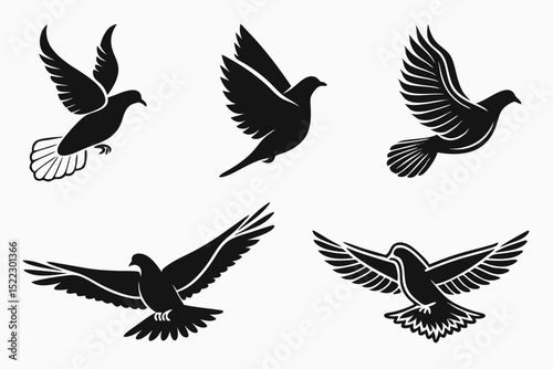 set of birds photo