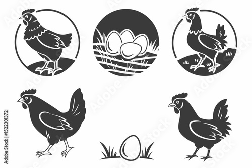 chicken