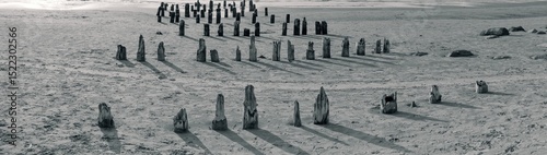 Old wooden posts cast long shadows. Ruins of an old pier on the shore. Panoramic photo.