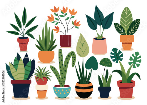 Indoor plants vector illustration potted plants collection