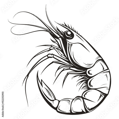 shrimp, underwater animal, vector, transparent background, animal, seafood, food, nature, icon, crustacean, cute, marine, shell, prawn
