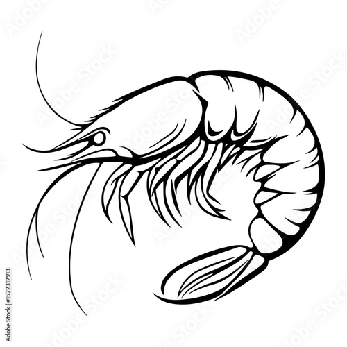 shrimp, underwater animal, vector, transparent background, animal, seafood, food, nature, icon, crustacean, cute, marine, shell, prawn
