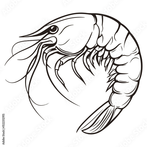 shrimp, underwater animal, vector, transparent background, animal, seafood, food, nature, icon, crustacean, cute, marine, shell, prawn