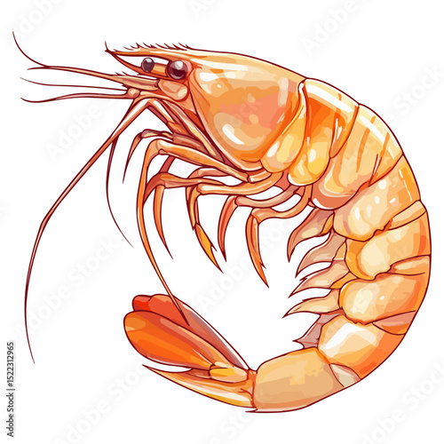 shrimp, underwater animal, vector, transparent background, animal, seafood, food, nature, icon, crustacean, cute, marine, shell, prawn