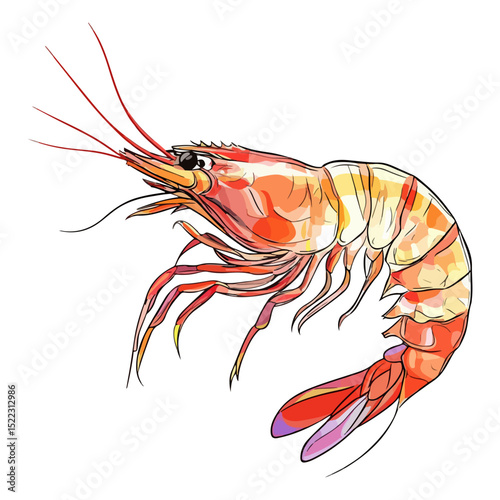 shrimp, underwater animal, vector, transparent background, animal, seafood, food, nature, icon, crustacean, cute, marine, shell, prawn