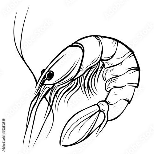shrimp, underwater animal, vector, transparent background, animal, seafood, food, nature, icon, crustacean, cute, marine, shell, prawn
