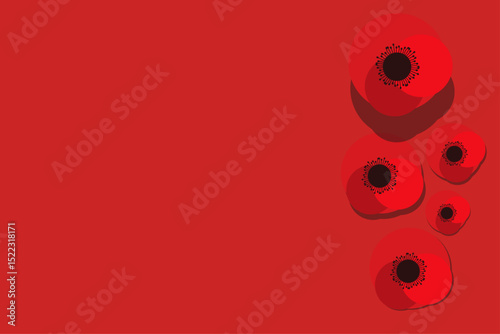 Red poppies on a red background. Remembrance and Reconciliation Day. We never forget. vector illustration