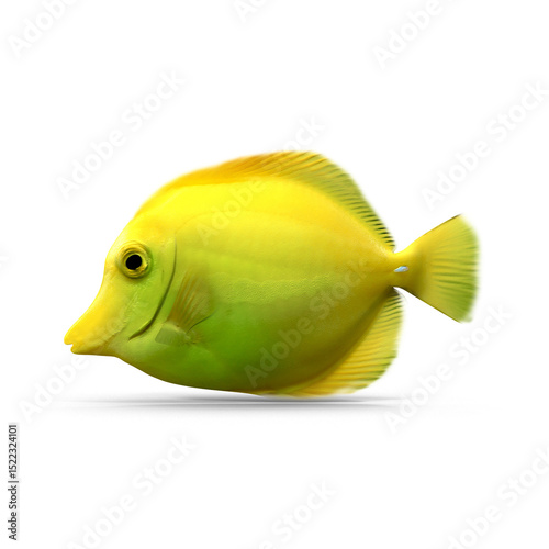 Foto Yellow Tropical Fish Isolated on Transparent Background