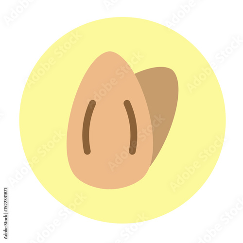 Whole Almond Vector Flat Icon Design