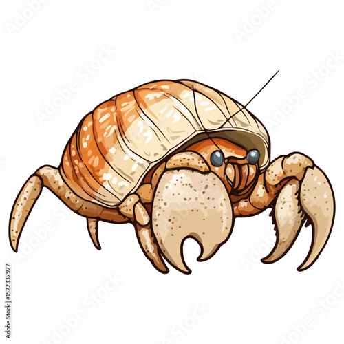 hermit crab, underwater animal, vector, transparent background, creature, isolated, animal, crustacean, prawn, nature, shell, cute, reptile, zoo, wildlife, icon