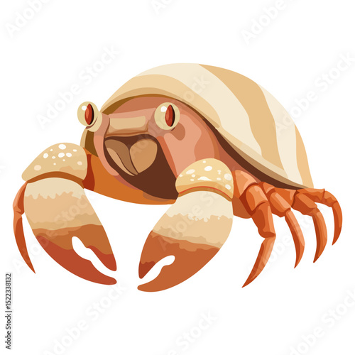 hermit crab, underwater animal, vector, transparent background, creature, isolated, animal, crustacean, prawn, nature, shell, cute, reptile, zoo, wildlife, icon