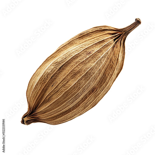 Wallpaper Mural Dried cardamom pod with textured surface, showcasing its unique shape and natural color. This spice is often used cooking and baking Torontodigital.ca