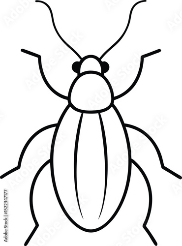 Simple Line Drawing of a Beetle Insect Illustration