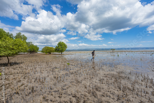 Conducting growth monitoring of mangrove seedlings planted at this site: measuring height, base diameter, and recording survival count
