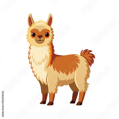 alpaca on white background