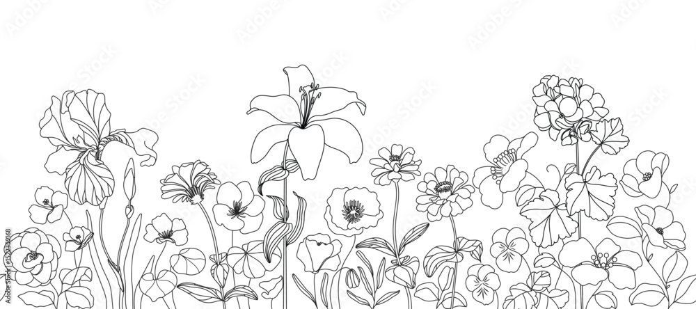 Fototapeta premium seamless minimal Hand drawn botanical flowers and leaf vector in Spring and summer collection