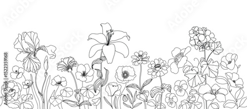 seamless minimal Hand drawn botanical flowers and leaf vector in Spring and summer collection