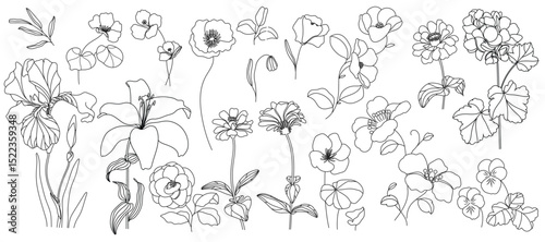 Collection of floral and botanical elements. Set of leaf, foliage wildflowers, plants, bloom, leaves and herb. Hand drawn of blossom spring season vectors for decor, website, wedding card and shop.