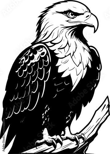 Black and White Eagle Vector Illustration - Majestic Bird of Prey