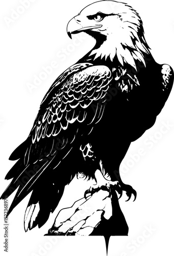 Black and White Eagle Vector Illustration - Majestic Bird of Prey