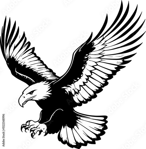 Black and White Eagle Vector Illustration - Majestic Bird of Prey