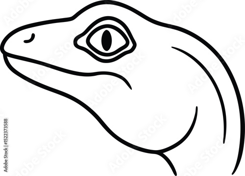 Elegant Line Art Drawing of a Lizard's Head Detailed Profile View