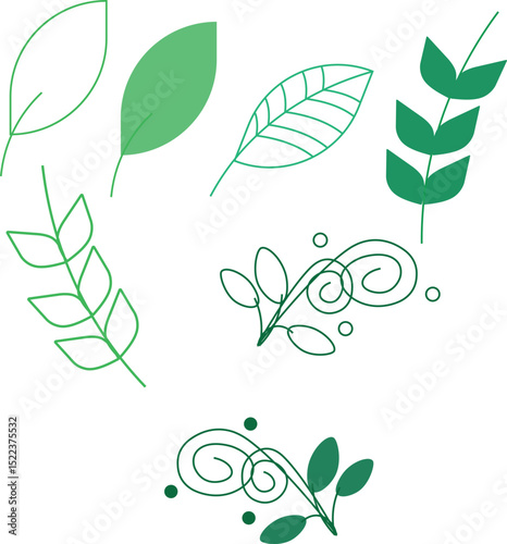 Green leaves vector illustration set, green leaves ornament