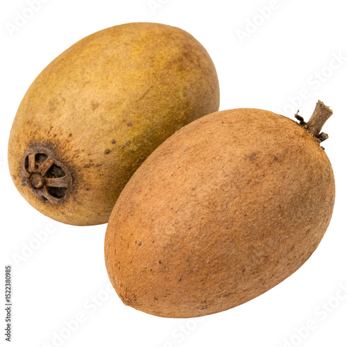 Ripe Sapodilla Fruits Isolated on White Background
 photo
