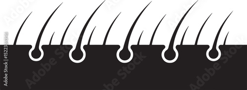 Hair Follicles Skin Close Up Graphic Illustration