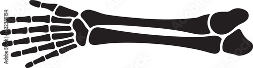 Silhouette of Human Arm and Hand Bones Anatomy