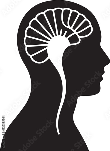 Human Head Silhouette with Brain Anatomy Illustration