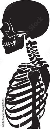 Black Silhouette of Human Skull and Rib Cage Profile