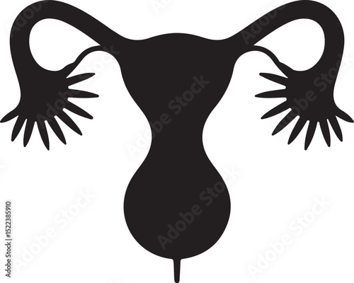 Female Reproductive System Silhouette Illustration