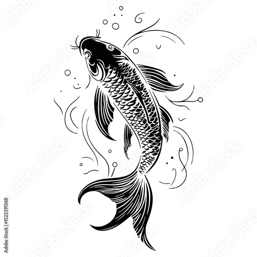 koi, underwater animals, vector, transparent background, creatures, animalia, cyprinus, fish, animal, pattern, nature, icon, symbol, cute, fin, underwater
