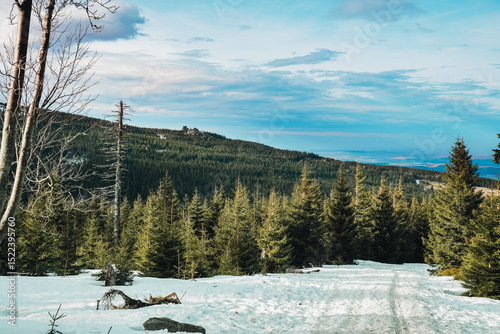 Fototapeta Naklejka Na Ścianę i Meble -  Mountain panoramas with forests and snow