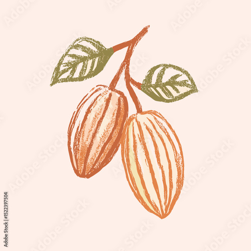 Two cacao pods with leaves illustrated in a soft pastel style against a light background