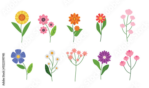 Hand-Drawn Cute Wildflower Set vector illustration