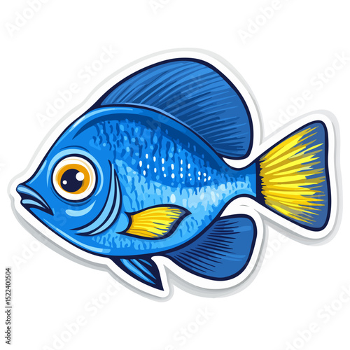 surgeon fish, underwater animal, vector, transparent background, creature, paracanthurus hepatus, fish, ocean, aquarium, underwater, tropical, marine, exotic, colorful, cute, isolated, animal, nature,