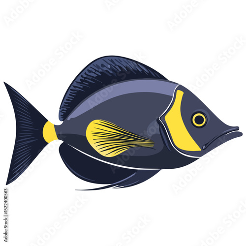 surgeon fish, underwater animal, vector, transparent background, creature, paracanthurus hepatus, fish, ocean, aquarium, underwater, tropical, marine, exotic, colorful, cute, isolated, animal, nature,