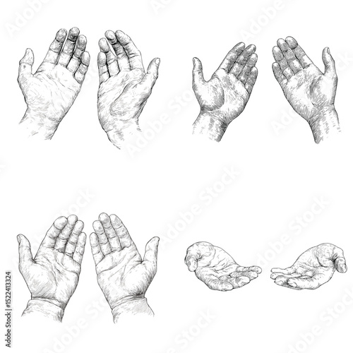 Detailed hand sketches in upward-facing positions and various gestures. Great for anatomical references, hand studies, and expressive gesture illustrations.

