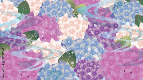 夏の梅雨の紫陽花風景
