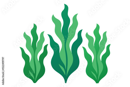 Illustration of Three Tufts of Green Kelp with Smooth LeafLike Blades Isolated